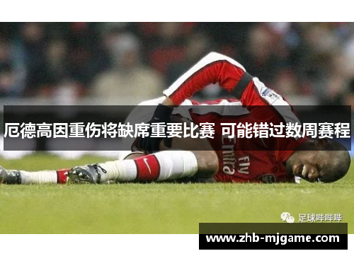 厄德高因重伤将缺席重要比赛 可能错过数周赛程 厄德高因重伤将缺席重要比赛 可能错过数周赛程